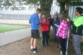 t_IMG_1325.jpg